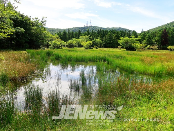 (기획취재) 매립으로 사라지는 제주습지, 람사르습지 등록 가능한 예상지역 찾아보니..